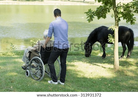 Image of disabled grandfather during walk with his adult grandson