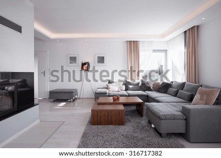 Modern light minimalistic interior in elegant style