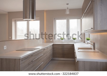 Picture of new style commodious kitchen in light colors