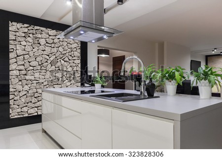 Photo of beautiful white kitchen island with decorative wall