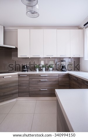 Modern and wooden cabinets in the kitchen
