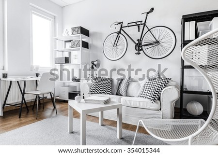 Comfortable black and white interior design apartment