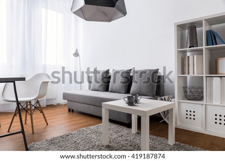 Very bright room in a modern apartment, with grey sofa, large, white rack and a white coffee table standing on a beige fluffy carpet
