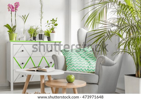 Light, new style living room with white coomode, armchair, small table and decorative houseplants