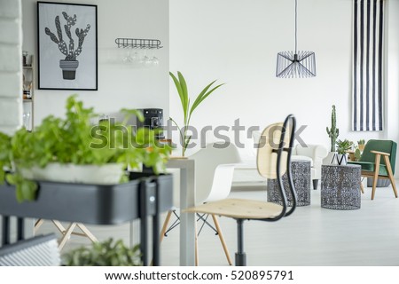 White home interior with herb stand, wooden chair and table