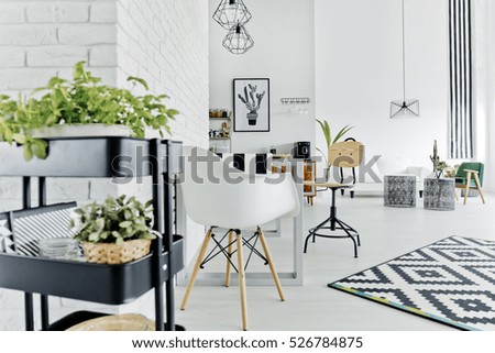 White apartment with herb stand, table, chair and carpet