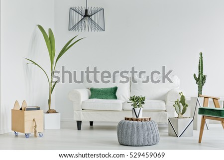 White living room with decorative houseplants, sofa and armchair