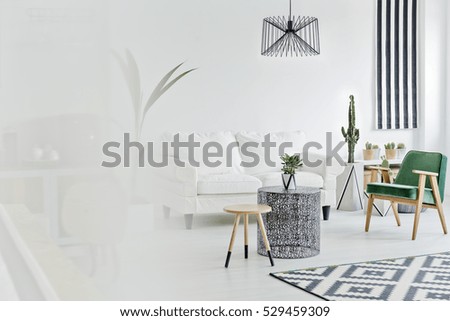 Bright living room with sofa, carpet and armchair