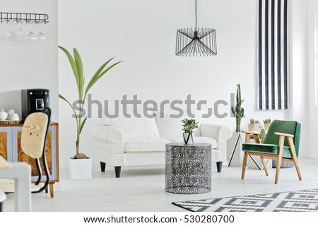 Multifunctional interior with white sofa, carpet, armchair and houseplant