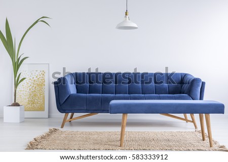 White apartment with blue sofa, bench, rug and green plant