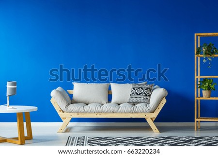 Blue spacious living room with plants standing on wooden shelves