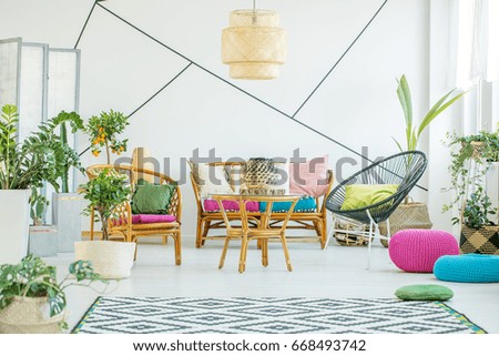 Living room with colorful poufs, plants and decorative tape on the wall
