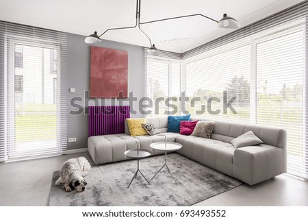 Bright modern living room with comfortable corner couch, artwork, coffee table, window blinds and rug