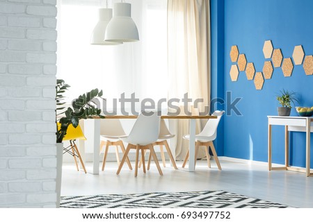 Modern white wooden chairs in dining room interior design with natural decor, blue wall, table, chairs, lamps and big bright window