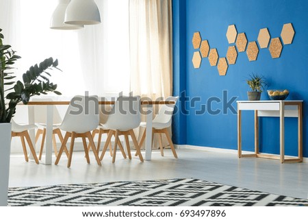 Blue wall accent in minimalist modern living room with open dining area, scandinavian design, window and natural decor