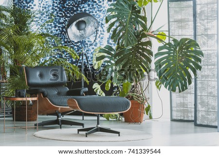 Comfortable black chair and stool on white carpet in apartment with palm trees and patterned curtain