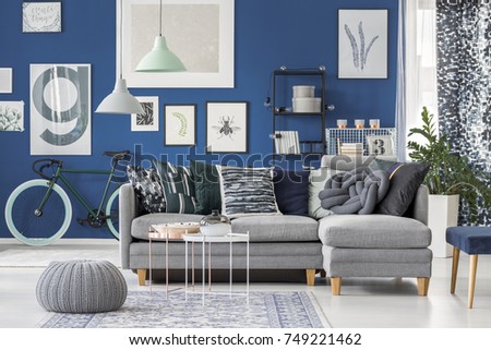 Grey pouf on carpet and lamps above grey couch in living room with bike against dark blue wall with gallery