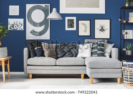 Dark pillows on grey corner sofa in living room with gallery on dark blue wall