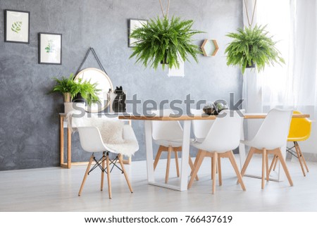 Giant ferns hanging over dining table with a complete set of five modern chairs