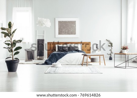 Plant in black pot in spacious white bedroom interior with bed with wooden bedhead against a wall with silver painting