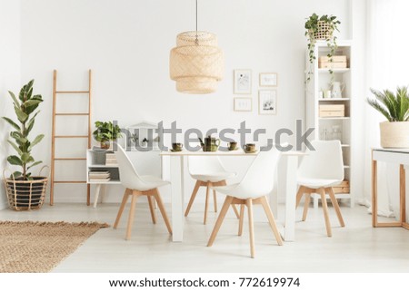 Big wicker lampshade hanging above table in white dining room interior with potted plants and plastic chairs