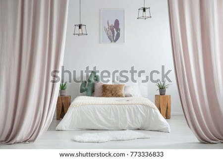 Pastel curtains in rustic bedroom with white rug and cacti on wooden stools next to king-size bed