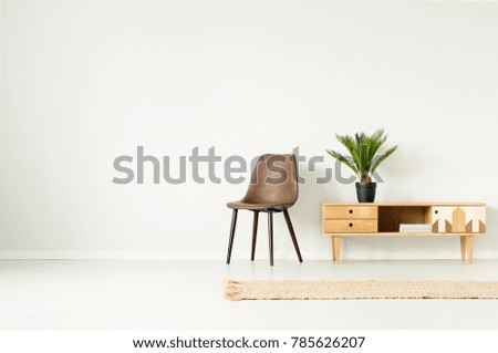 Plant in black pot on wooden cupboard next to brown chair against empty wall in simple living room interior with rug
