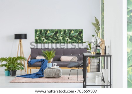 Blue blanket and pink pillows on black sofa near a lamp in living room interior with plants and green poster on white wall