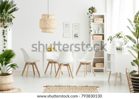 Plants and lamp in white dining room interior with chairs at wooden table with apples and posters on the wall