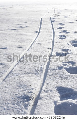 sled track and footsteps in the snow