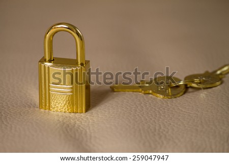 a small lock with keys