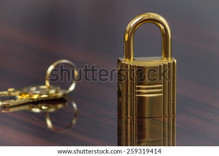 a small lock with keys