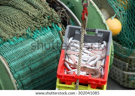 Freshly caught fish is unloaded from a fishing boat in fish crates