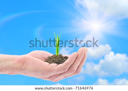 Hand holding green sprouts (snowdrop) against blue sky
