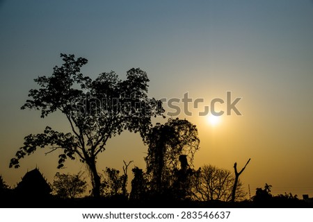 silhouette of landscape view