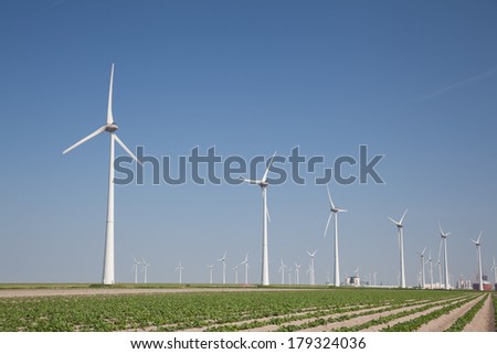 Windfarm with fresh crops and a clear blue sky