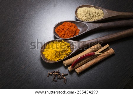 Spices powder on a wooden spoon