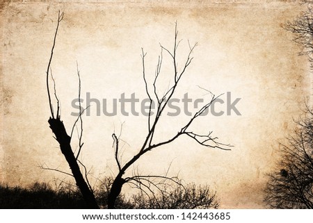 Branches of the tree against golden background, sunset, artwork in painting style