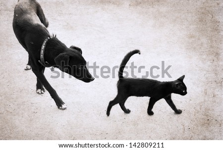 image in grunge style, cat and dog