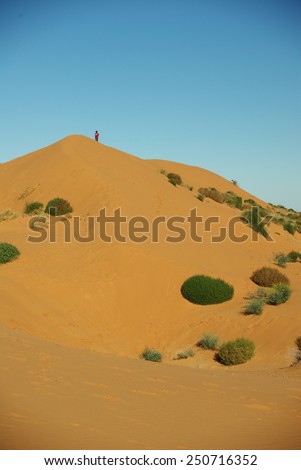A boy stands on top of a sand dune in the Simpson Desert