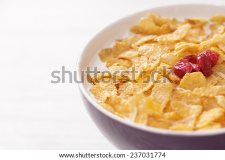 Bowl of milk with corn flakes seasoned with cranberries.  Shot with artificial light.