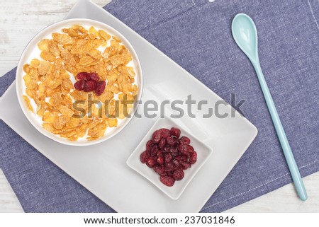 Bowl of milk with corn flakes seasoned with cranberries.  Shot with artificial light.
