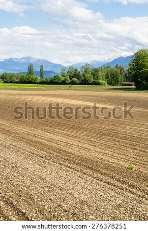 Tilled Field with Snow Covered Peaks of Swiss Alps and Green Trees on Background