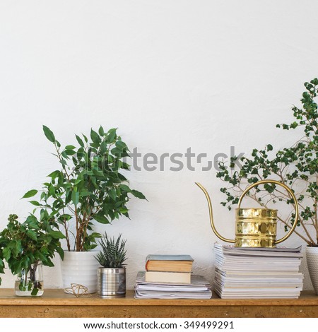 Houseplants, books, pile of journals and watering can arranged on the wooden shelf