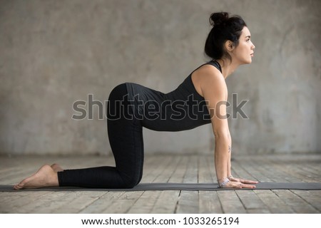 Young yogi woman practicing yoga, doing asana paired with Cat Pose on the exhale exercise, Cow, Bitilasana pose, working out, wearing black sportswear, indoor full length, gray wall in yoga studio