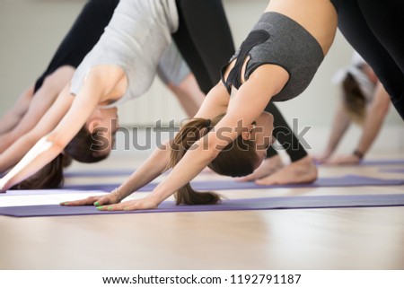 Group of young sporty people practicing yoga lesson, doing Downward facing dog exercise, adho mukha svanasana pose, working out, indoor, students training in club, studio close up. Well-being concept