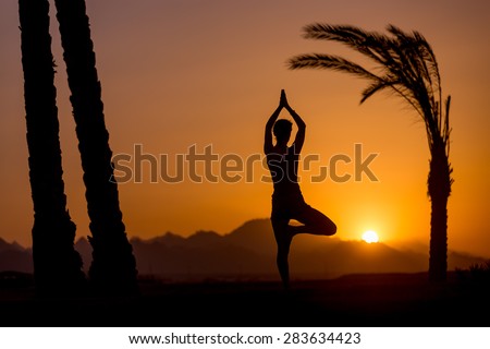 Silhouette of young woman doing fitness, yoga or pilates training, standing in asana Vrikshasana (Tree Pose) at sunset in picturesque location with mountains and palm trees