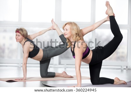 Fitness, stretching practice, group of two attractive mature women working out in sports club, doing balance exercise bird dog, sunbird (chakravakasana) for abs and back muscles in class, full length