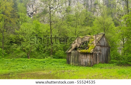 Old abandoned cottage in a forest
