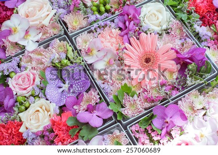 various flowers in boxes celebration